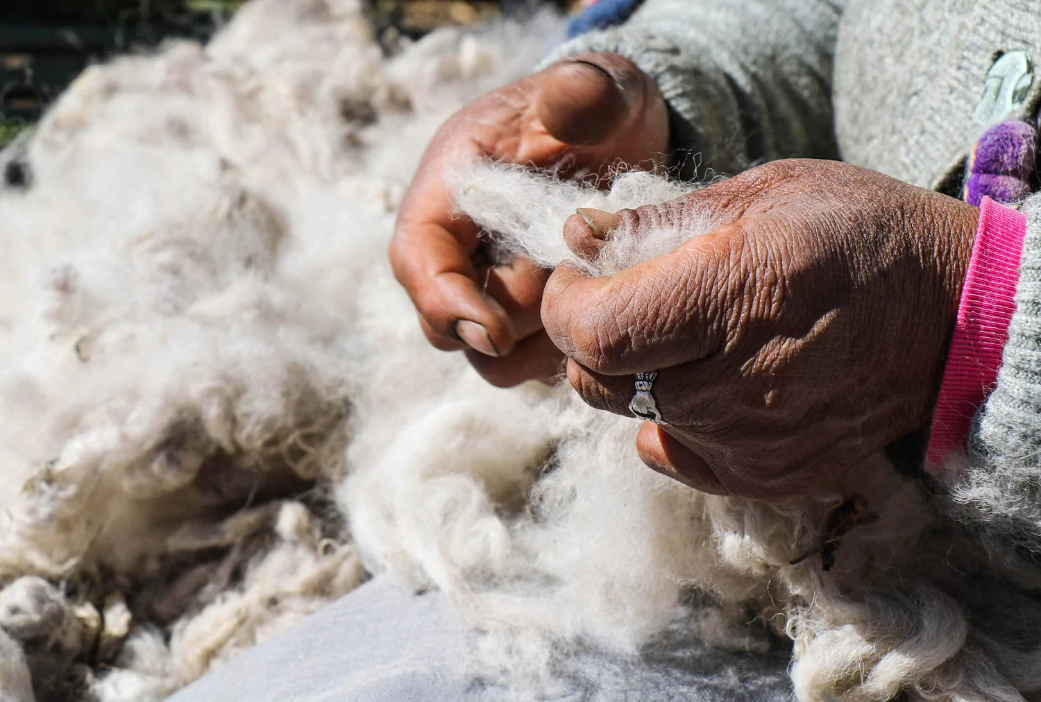 Peruvian Woman Sorting White Alpaca Fiber by Hand