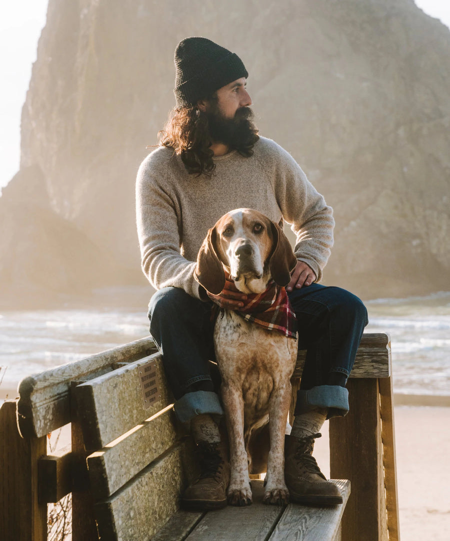 Men's Timber Cusco Alpaca Sweater