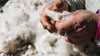 Hands of a quechua women holding alpaca fiber