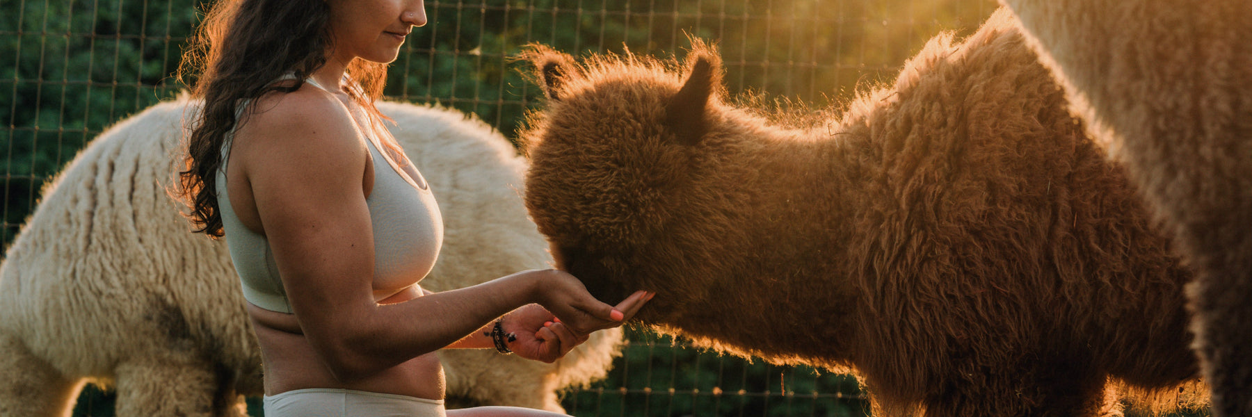 Woman Wearing Sustainable Bra and Underwear While Feeding a Brown Alpaca – PAKA Apparel