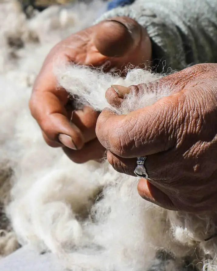 Woman's Hands Separating Sustainable Alpaca Wool Fiber on an Alpaca