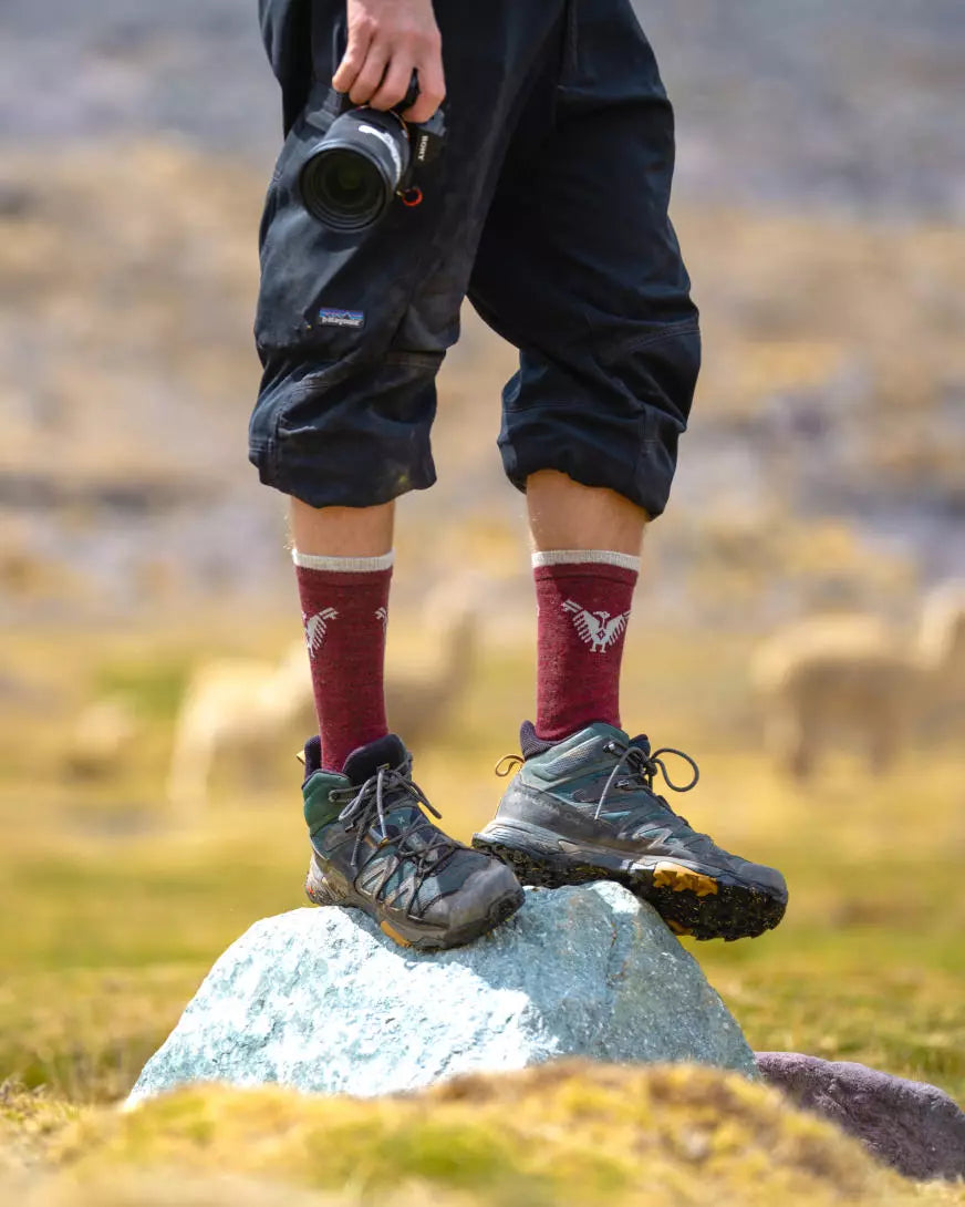 Lower Half of Male Photographer Wearing Red Alpaca Wool Thermal Socks with Inca Condór Design with Alpacas in the Background – PAKA Apparel