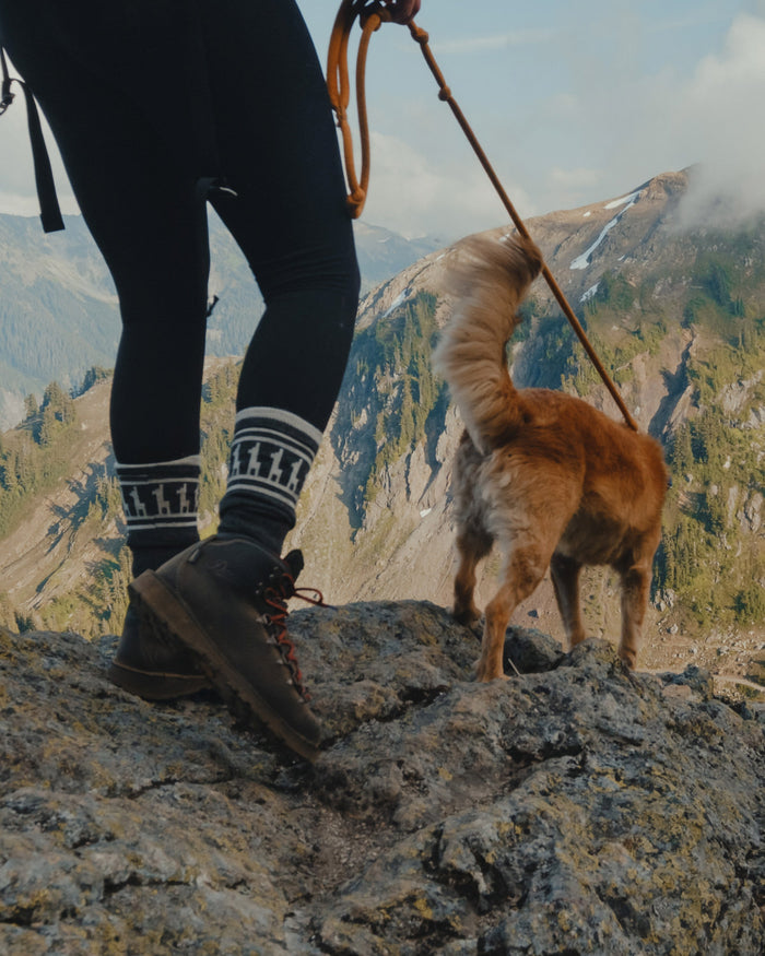 Woman walking dog in costa socks