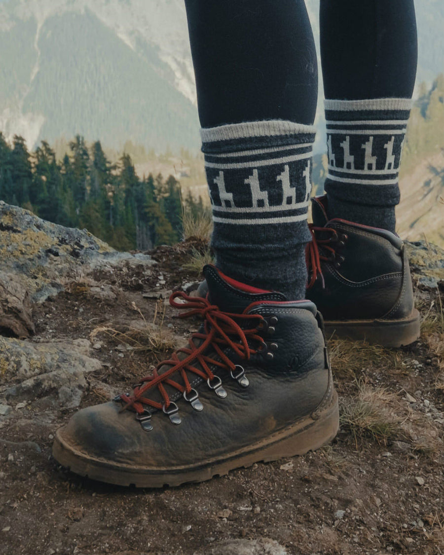 Dark grey alpaca wool sock with alpaca design on woman model